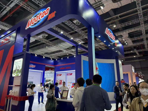 商品贸易到深耕拓链 浙江买手团进博“购物车”的蜕变与国际代理之路